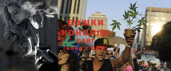 сатива Абаза