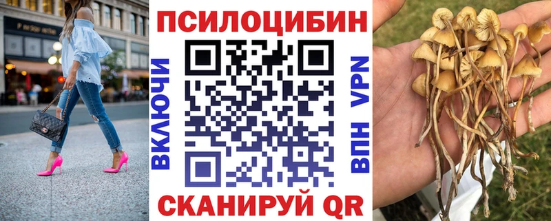 Галлюциногенные грибы прущие грибы  Кораблино 